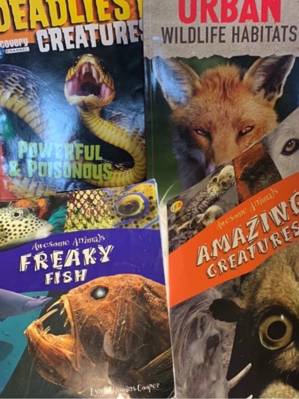 Awesome animals teacher resource
